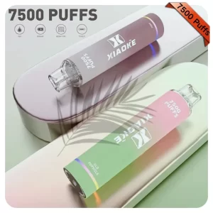 XiaoKe拋棄式電子煙