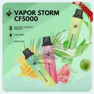VAPOR STORM 5000 Puffs一次性電子煙